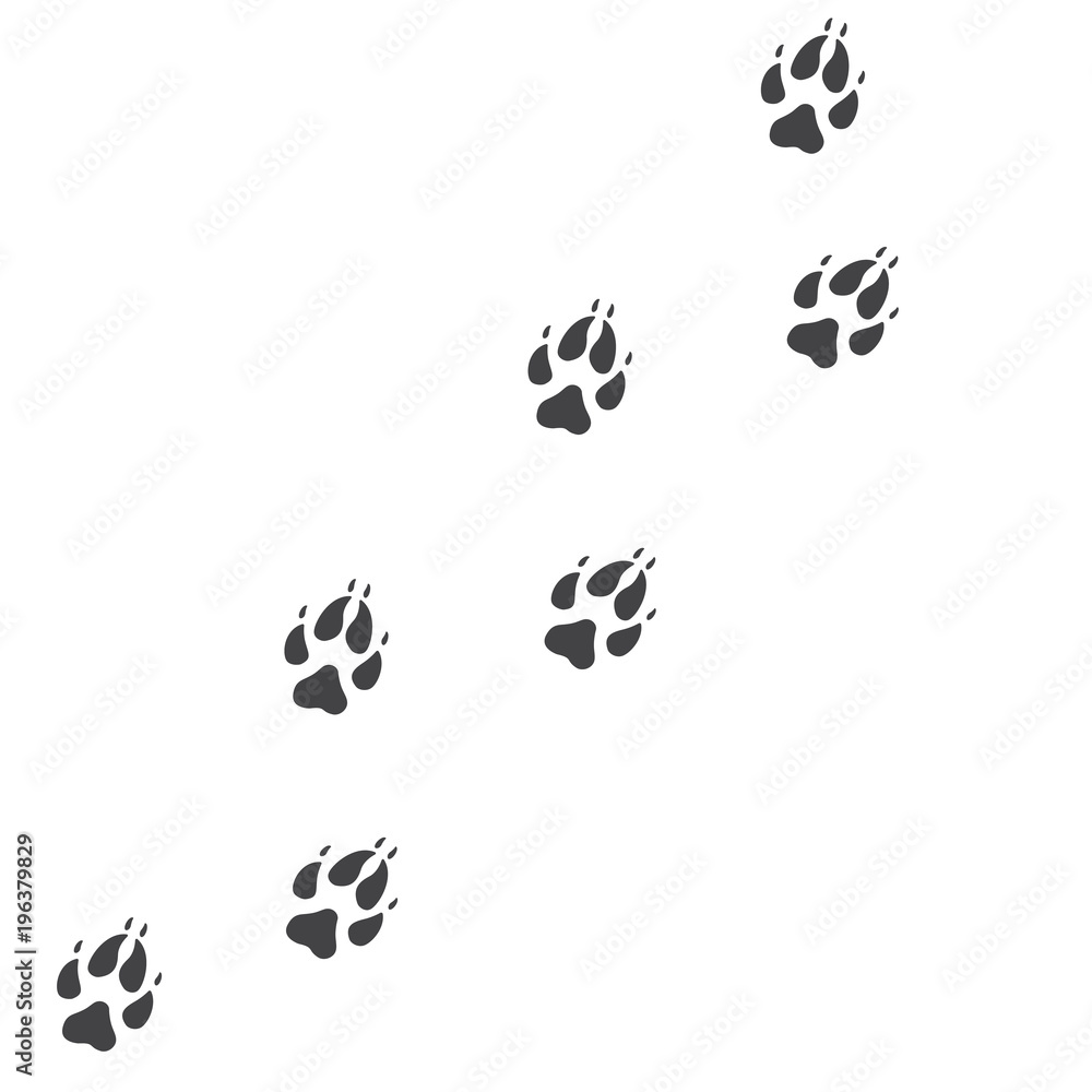 images of paw prints