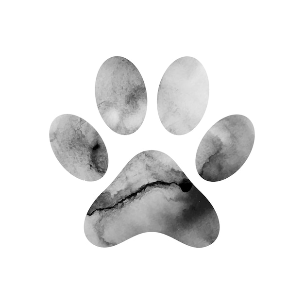 images of paw prints
