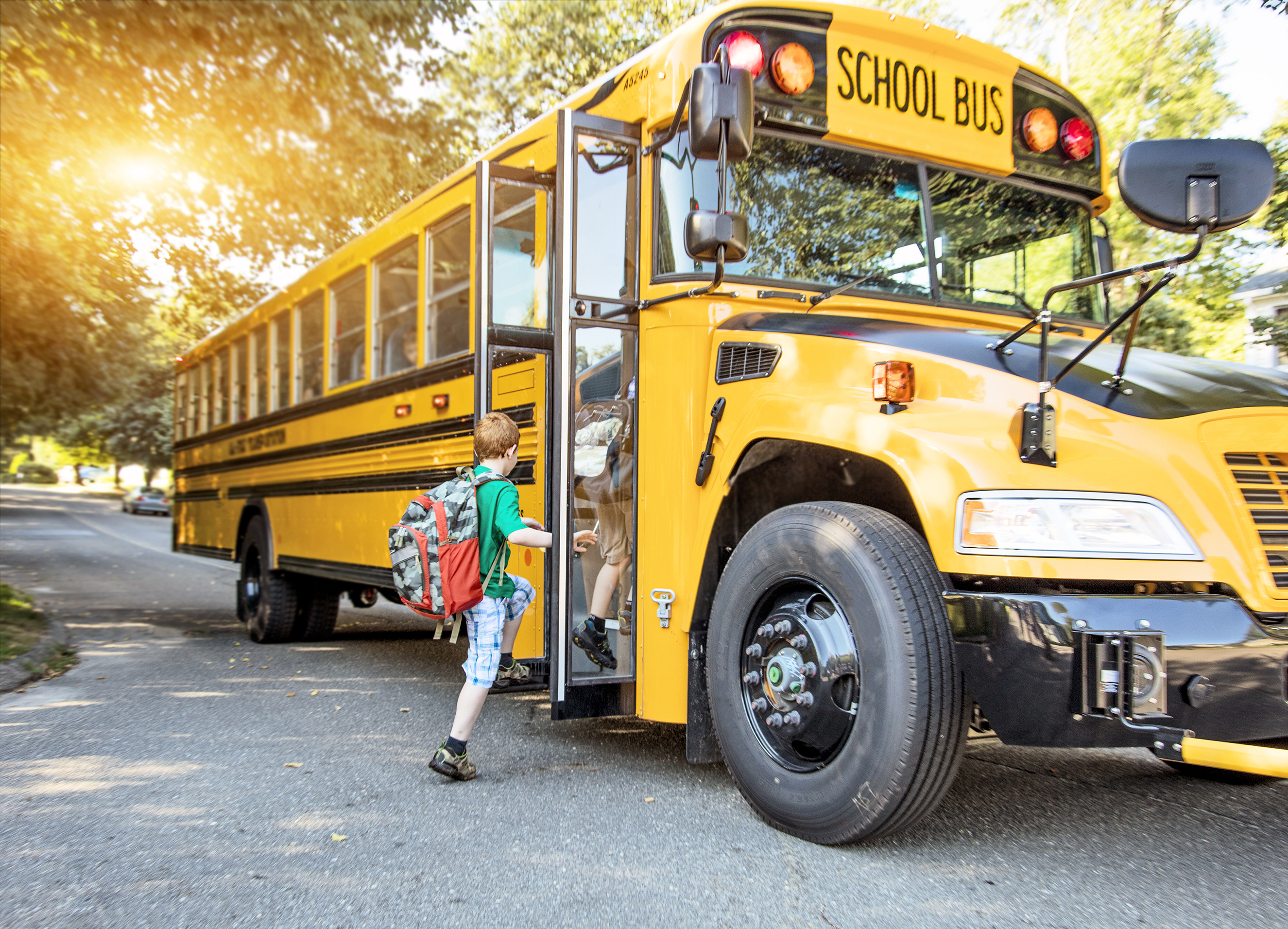 images of school bus