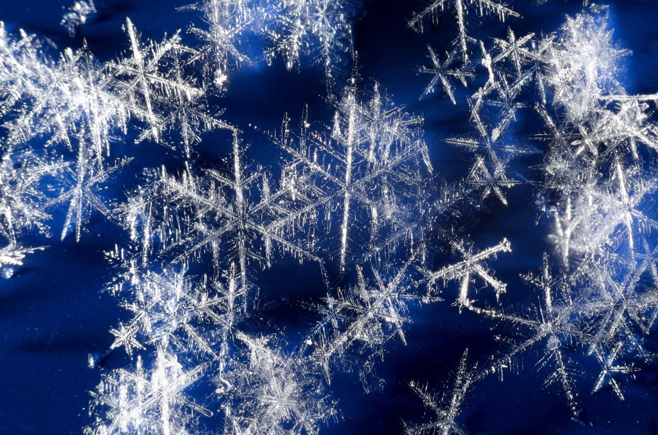 images of snowflakes