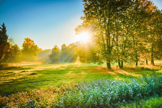 images of sunshine