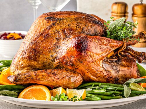 images of thanksgiving turkeys