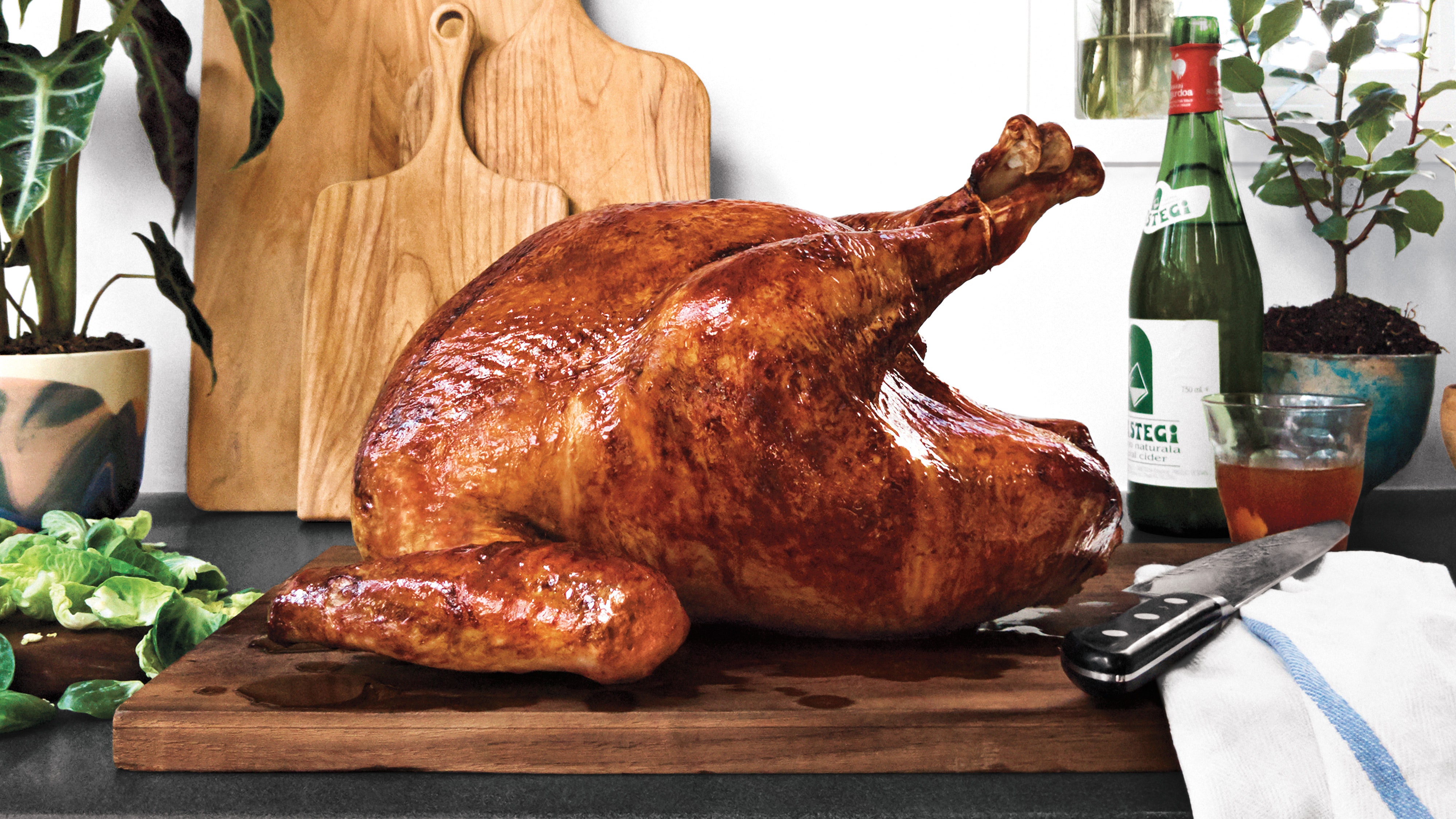 images of turkeys for thanksgiving