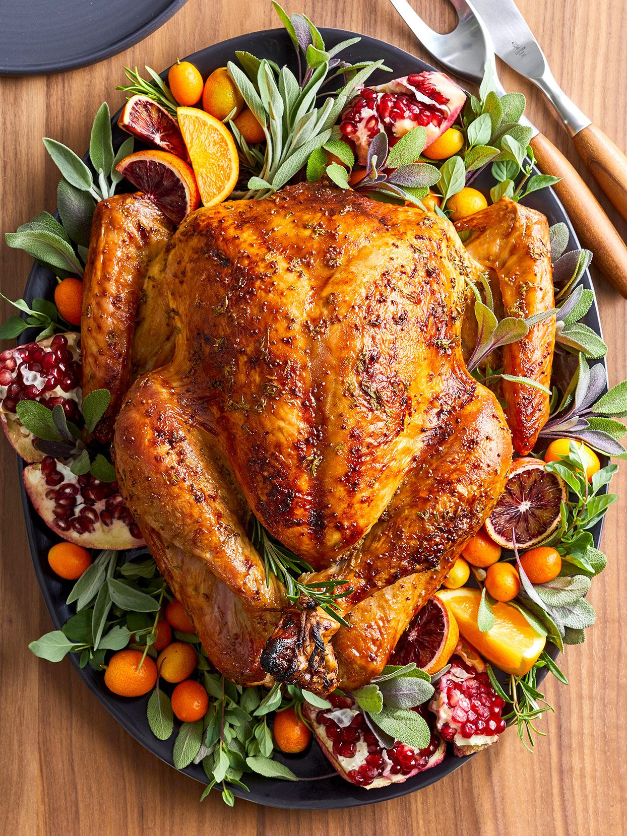 images of turkeys for thanksgiving
