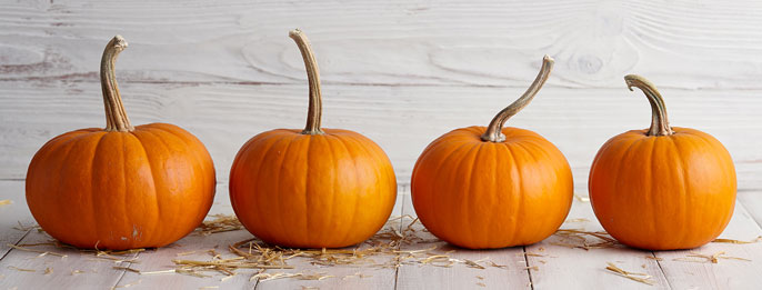 10 things you probably didnt know about pumpkins | University of ...