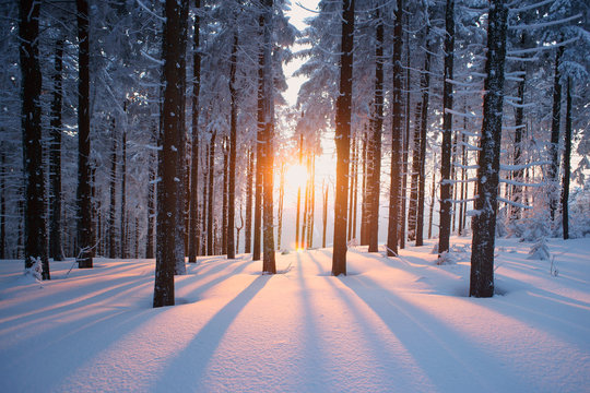 images winter