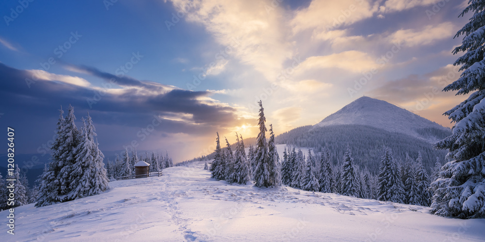 Poster, Wandbilder Winter Landscape with a dawn in mountains, 40x20 cm
