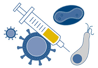 Pathogens and Vaccines