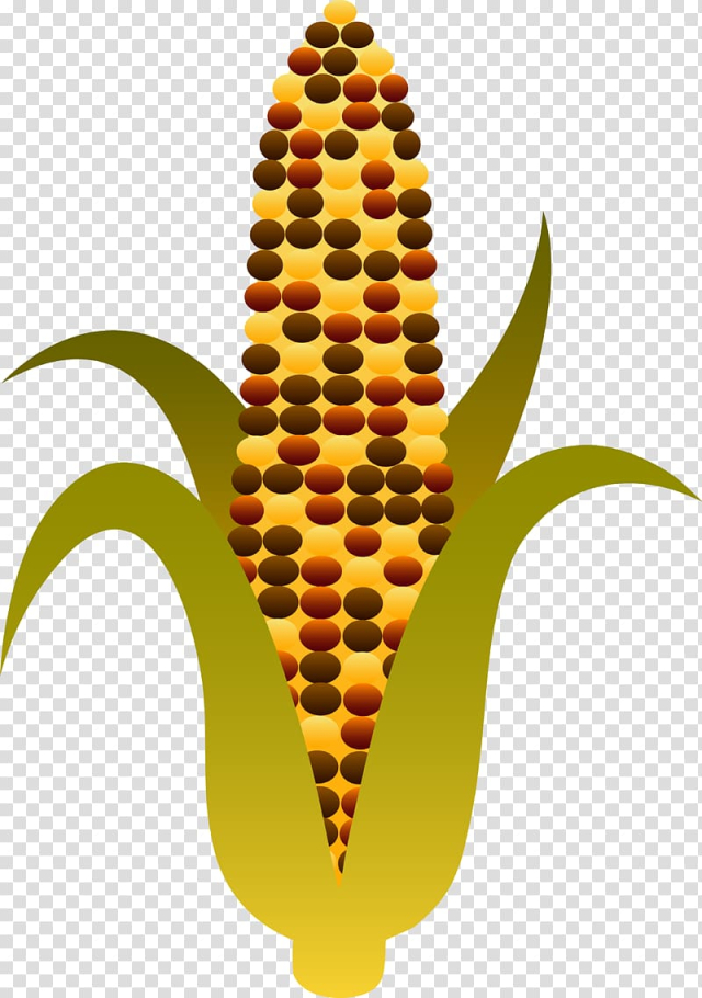 Free: Candy corn Corn on the cob Maize Sweet corn , Fall Corn ...