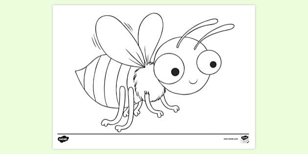 Insect Colouring Page | Colouring | Colouring Sheets