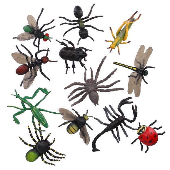 insect