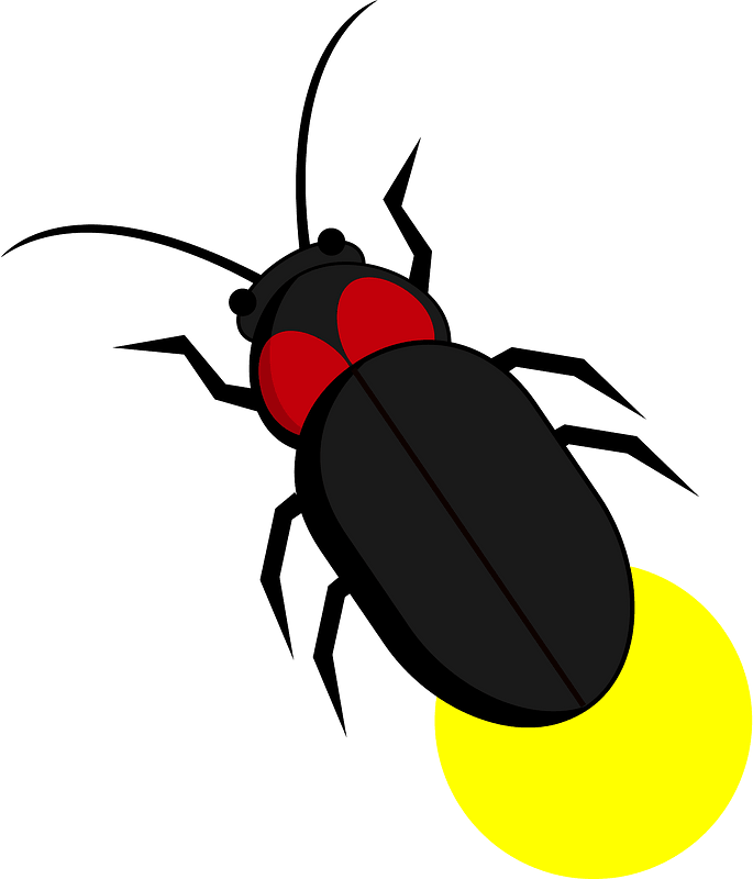 Firefly Insect - Free vector clipart images on clipart library.com