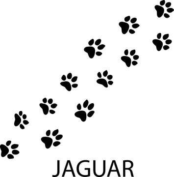 Jaguar Paw Images – Browse 12,771 Stock Photos, Vectors, and Video ...