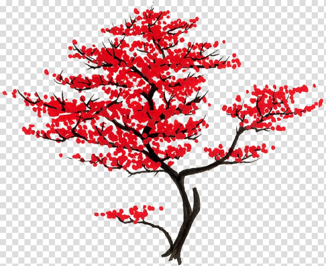 Free: Tree Japanese maple Acer shirasawanum Branch Woody plant ...