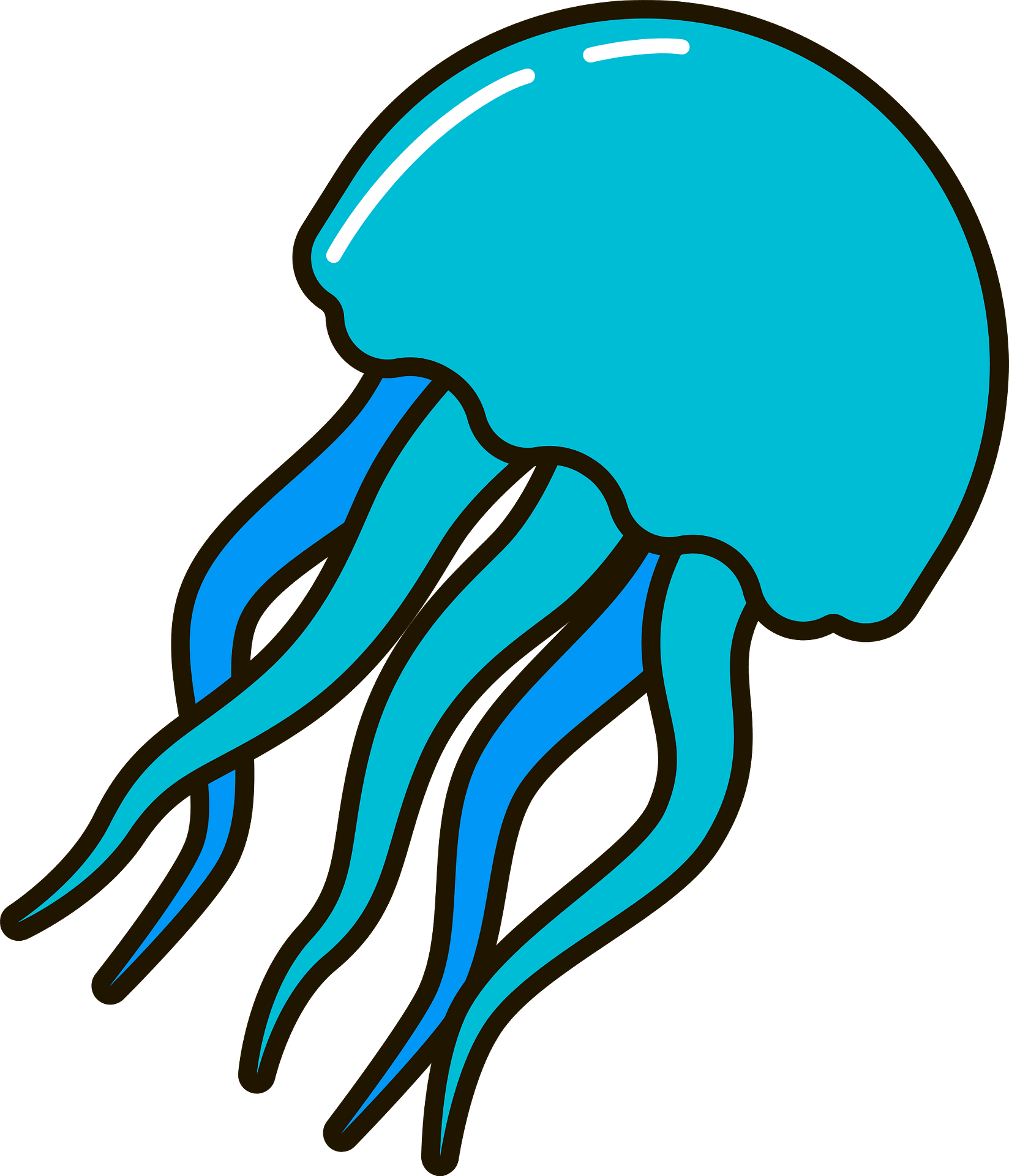 Free Jellyfish Clipart Download Free Jellyfish Clipart Png Images 
