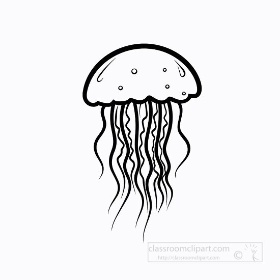 Animal Outline Clipart-jellyfish marine animal black outline clip art