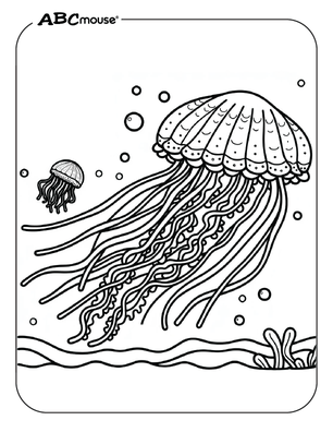 Jellyfish Coloring Pages | ABCmouse