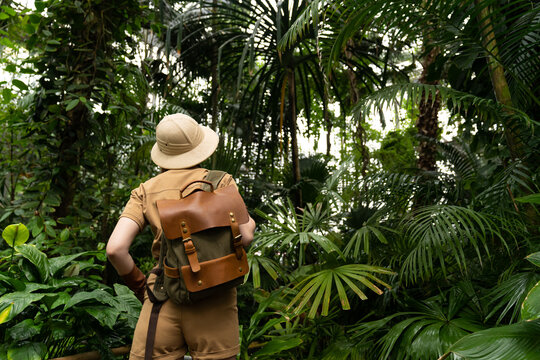 Jungle Explorer Images – Browse 175,020 Stock Photos, Vectors, and ...