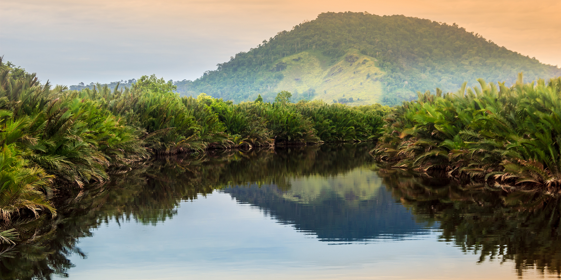 jungle rivers