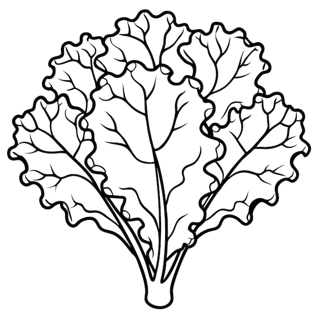 kale cliparts 2024