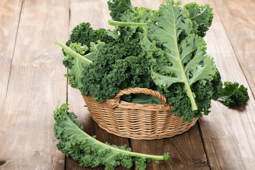 kale cliparts 2024