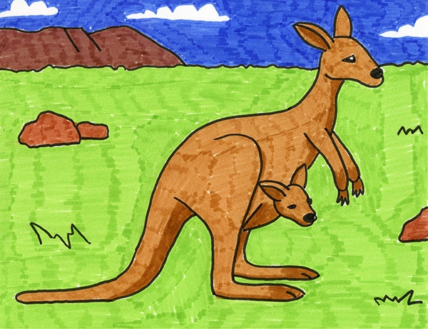 kangaroo images for kids