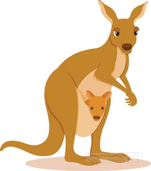 kangaroos cliparts 2024
