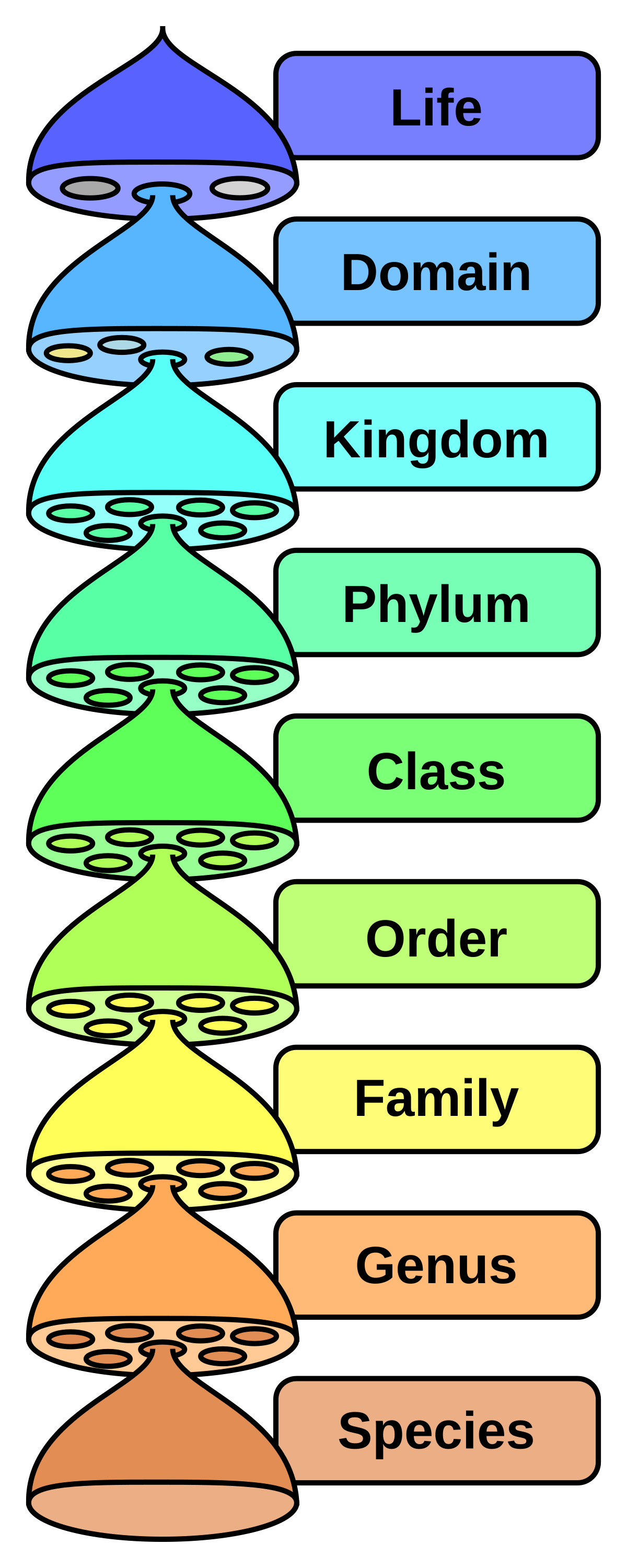 kingdoms