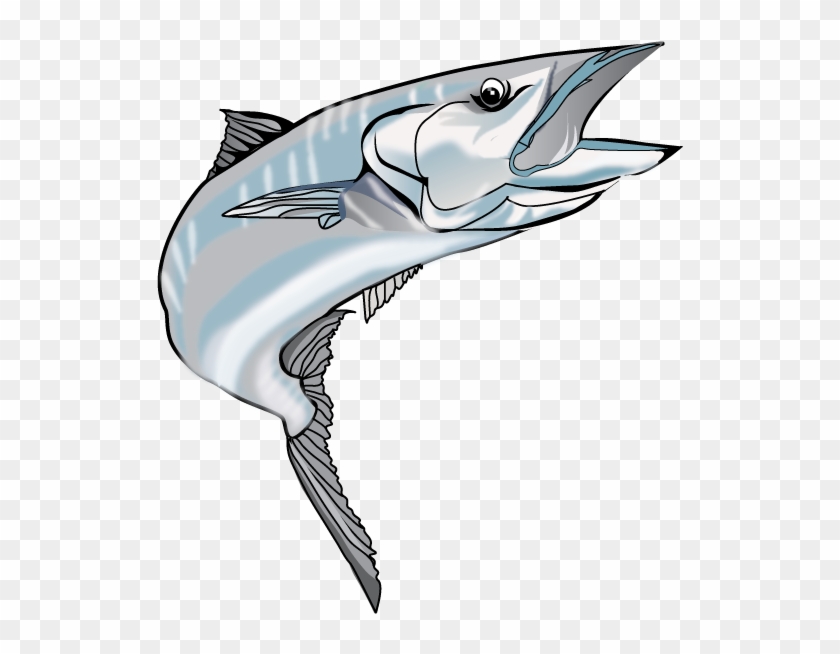 Kingfish Png - Free Transparent PNG Clipart Images Download