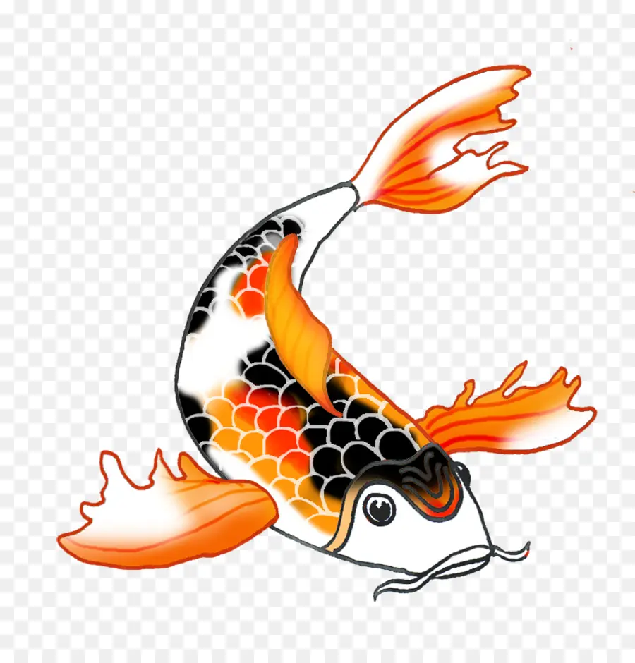 koi fish clipart