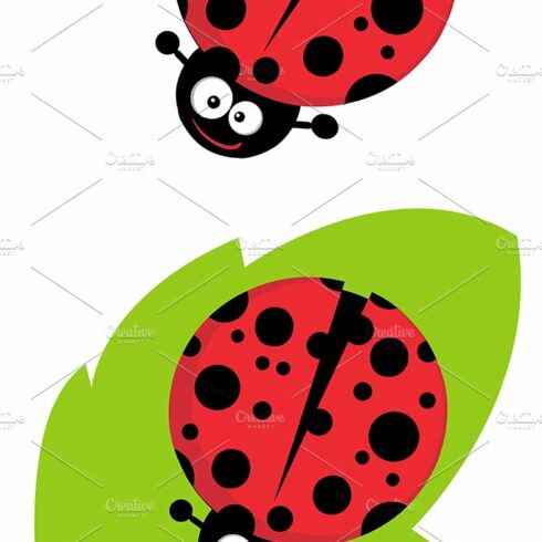 ladybug cliparts 2024