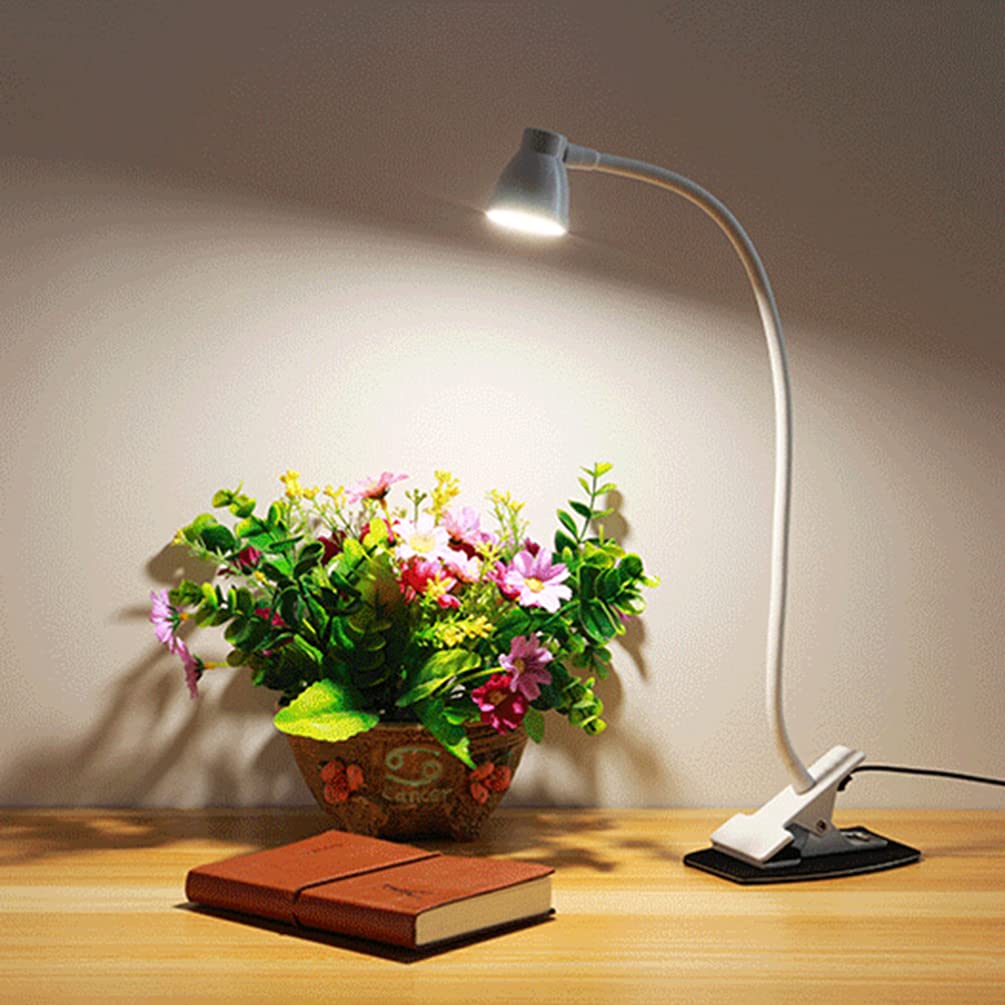 lamp clip 2024