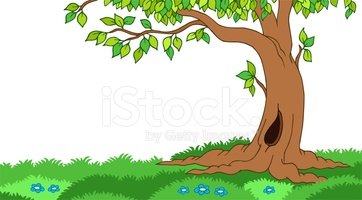 landscaping clipart tree