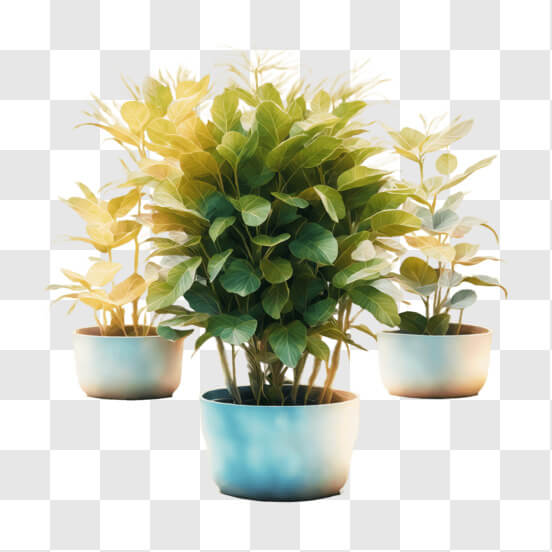 large plant cliparts 2024
