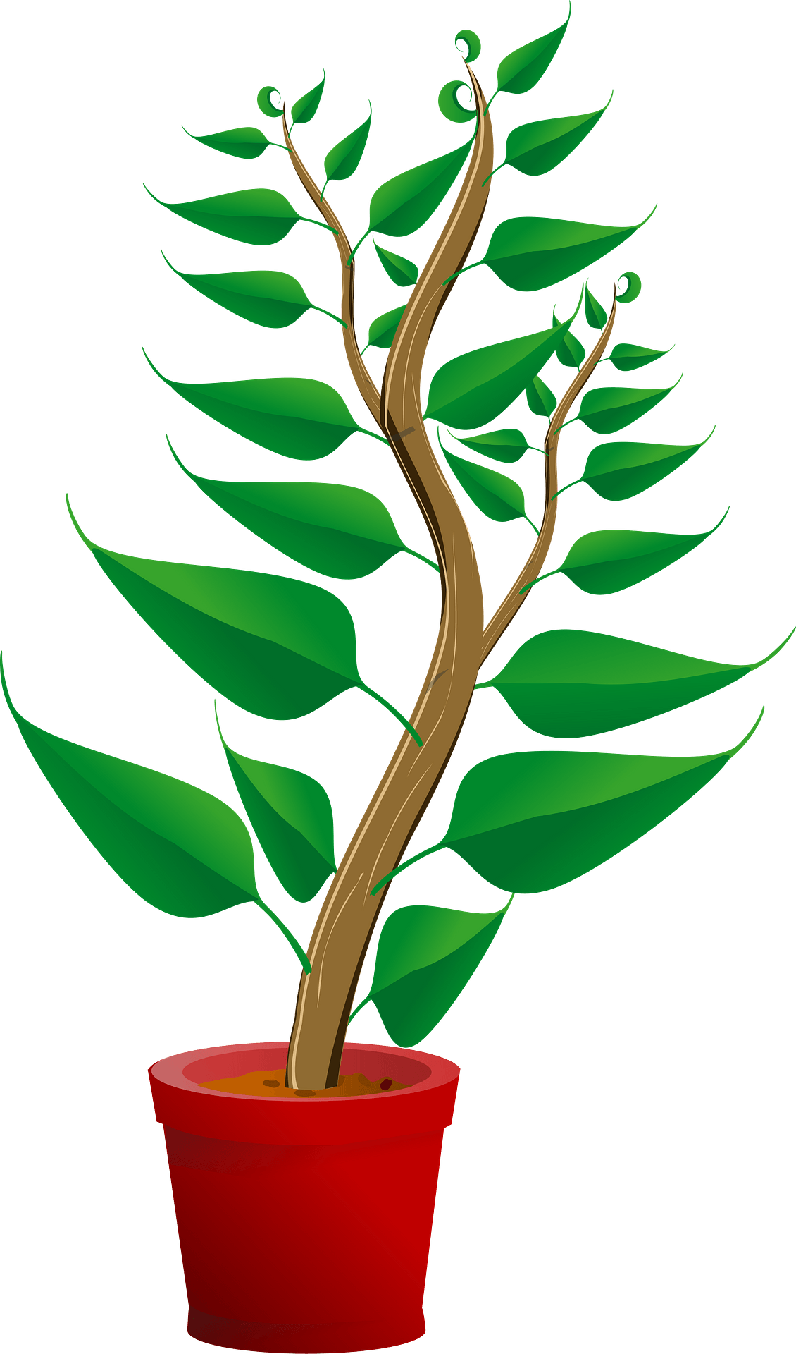 Tall Green Plant in a Red Pot - Free vector clipart images on ...