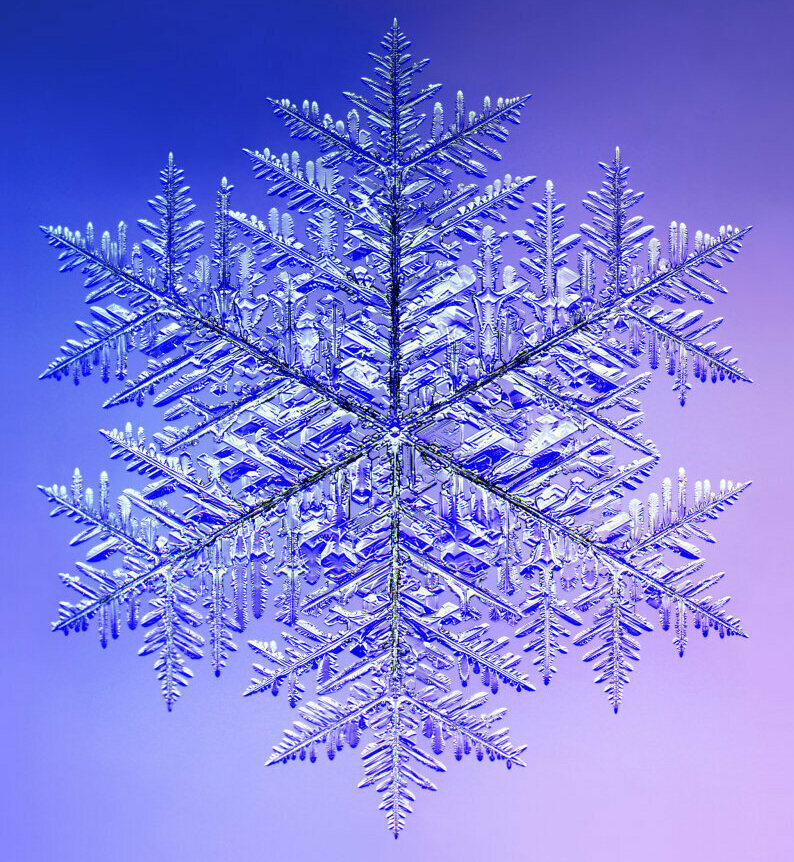 large snowflakes