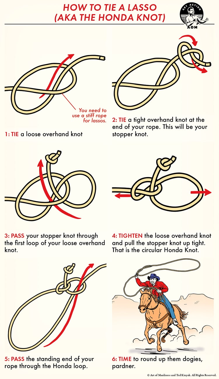 lasso pictures