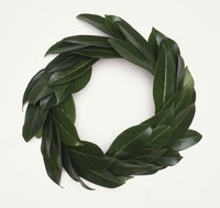 laurel wreath