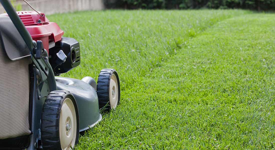 lawn care