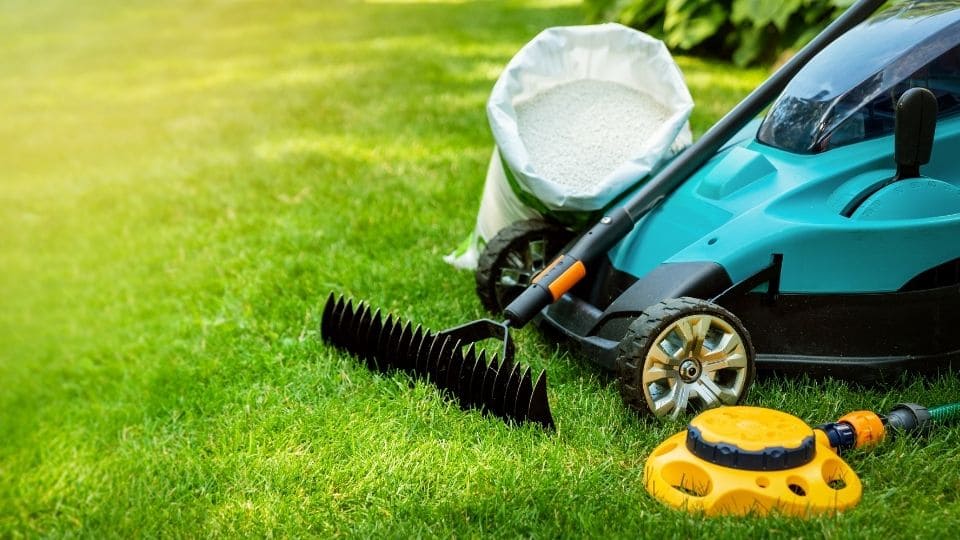 lawn care