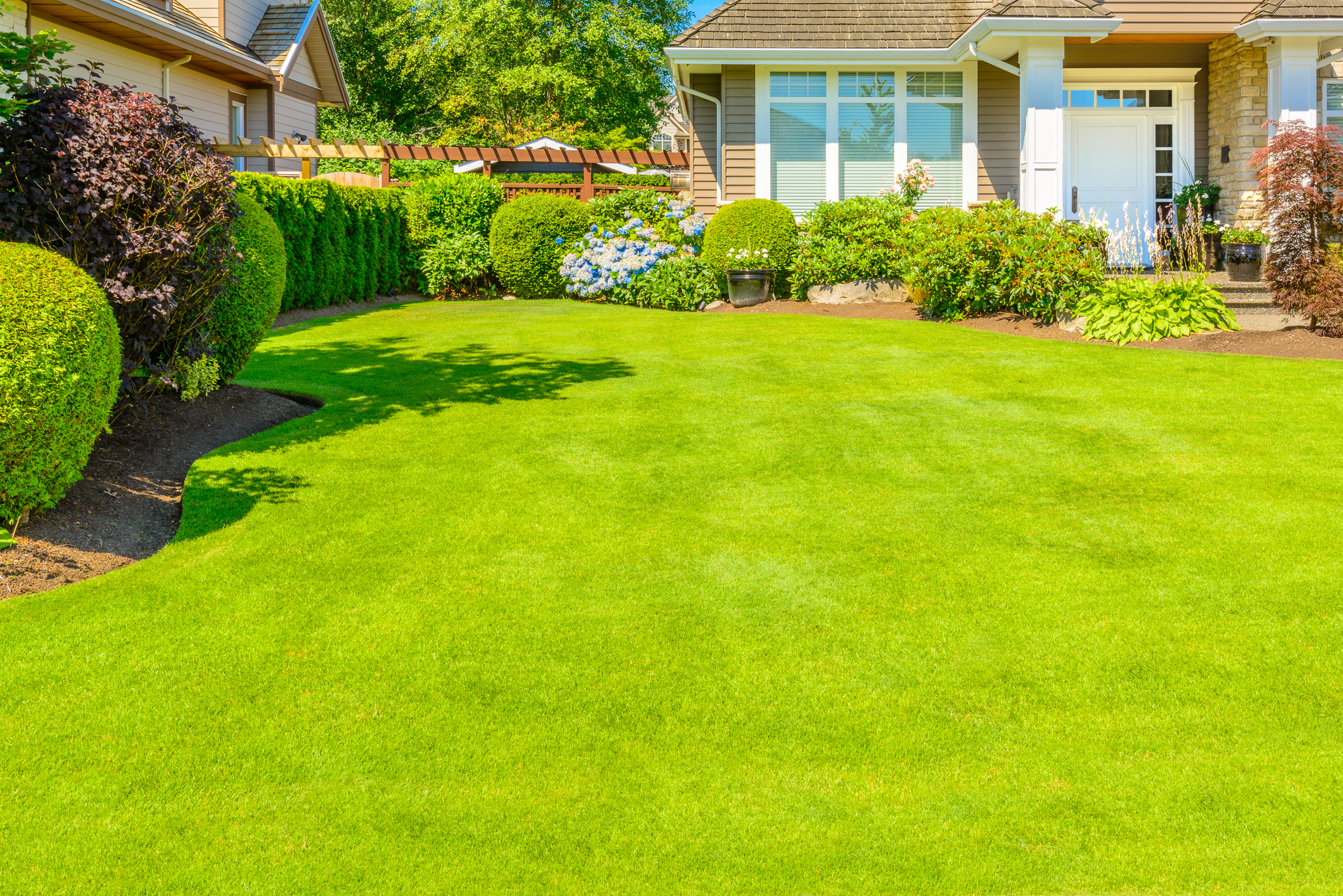 The Lawn Is An Invasive Species - The Long Island Conservancy