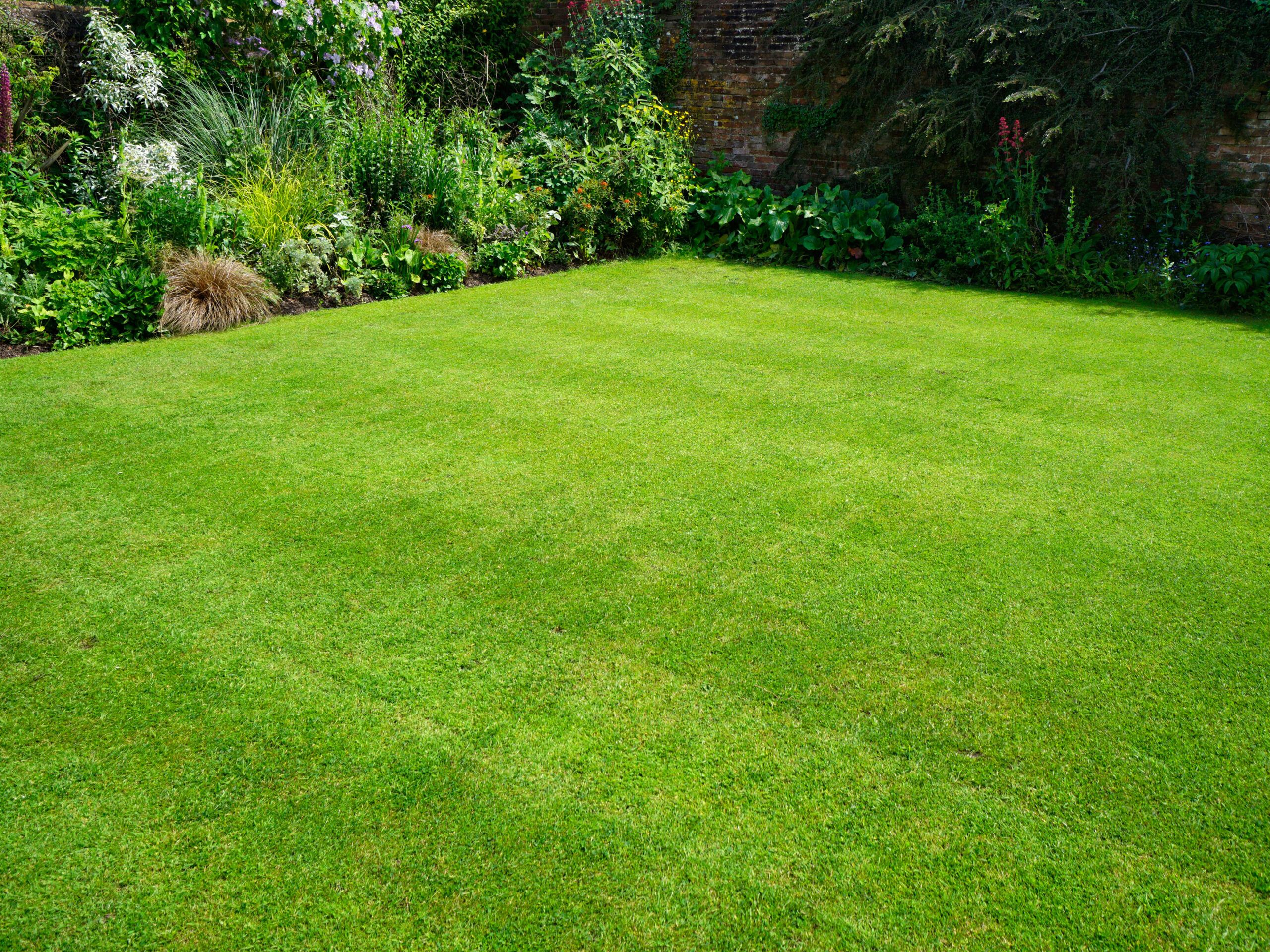 Easy Tips for Maintaining a Healthy Lawn - This Old House