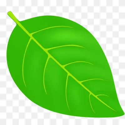 leaf clipart