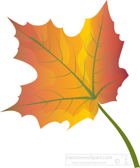 Seasonal Clipart - single-orange-red-yellow-fall-maple-tree-leaf ...