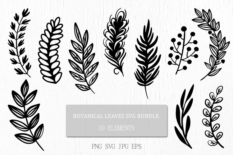 leaf embellishment cliparts