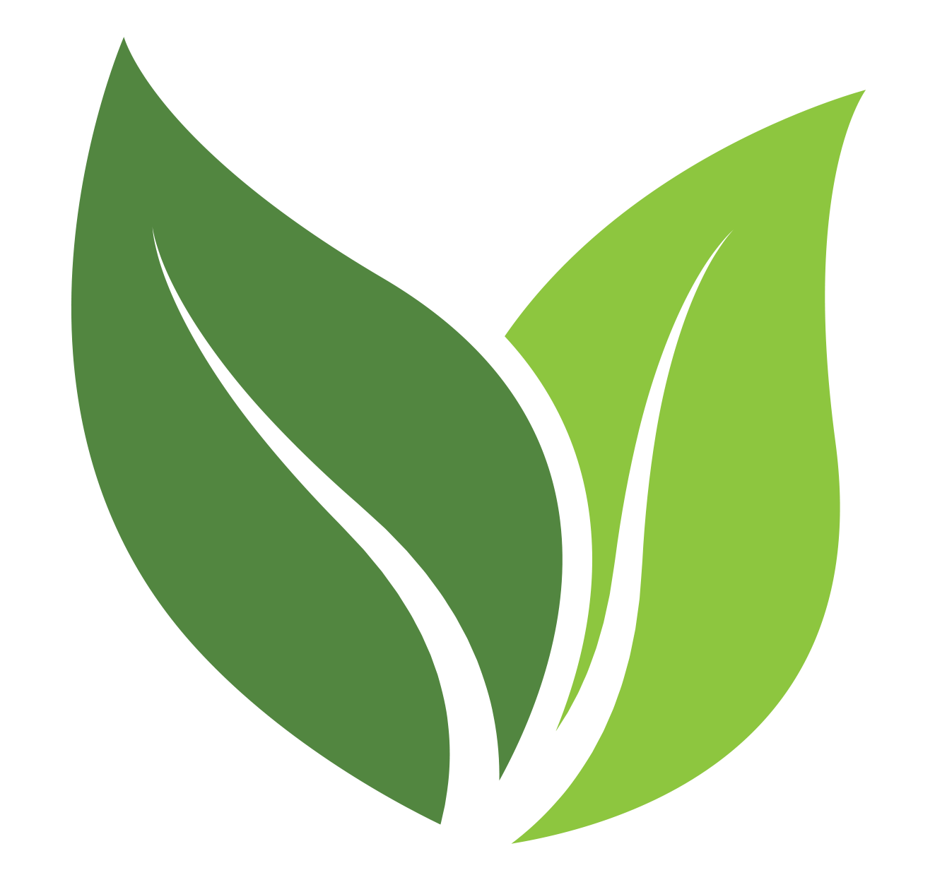 Leaf Graphic – UMALA