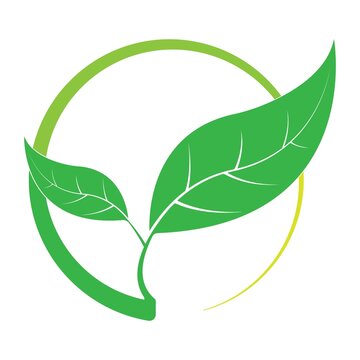 illustration vector graphic of green leaf logo design perfect for ...