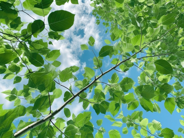 Summer leafy branches | Premium AI-generated image