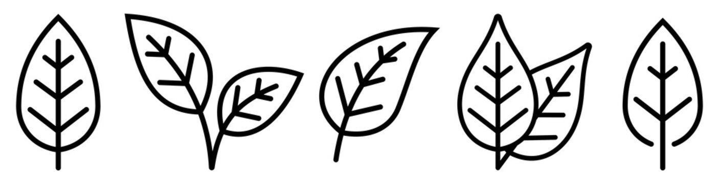 Leaf Outline Images – Browse 1,171,123 Stock Photos, Vectors, and ...