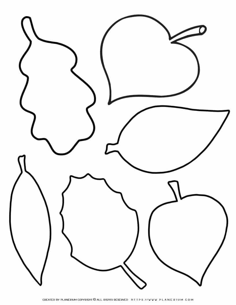 leave outline